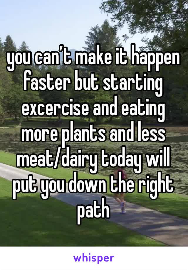you can’t make it happen faster but starting excercise and eating more plants and less meat/dairy today will put you down the right path