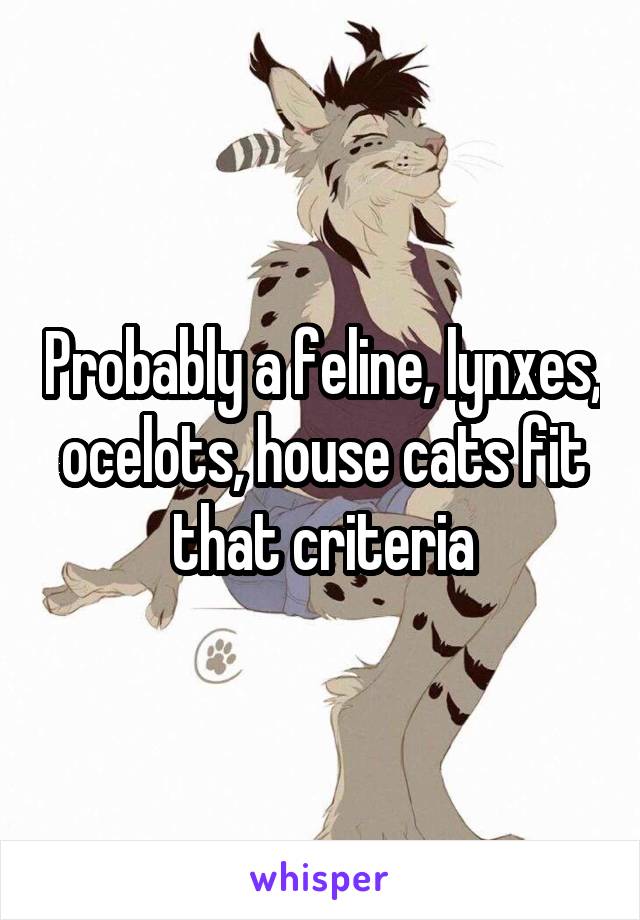 Probably a feline, lynxes, ocelots, house cats fit that criteria