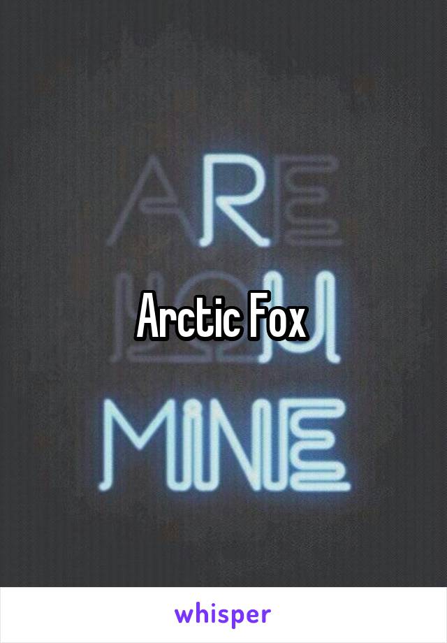 Arctic Fox 