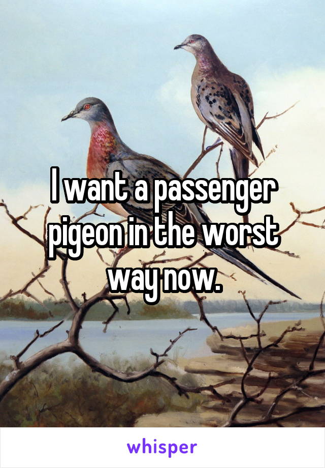 I want a passenger pigeon in the worst way now.