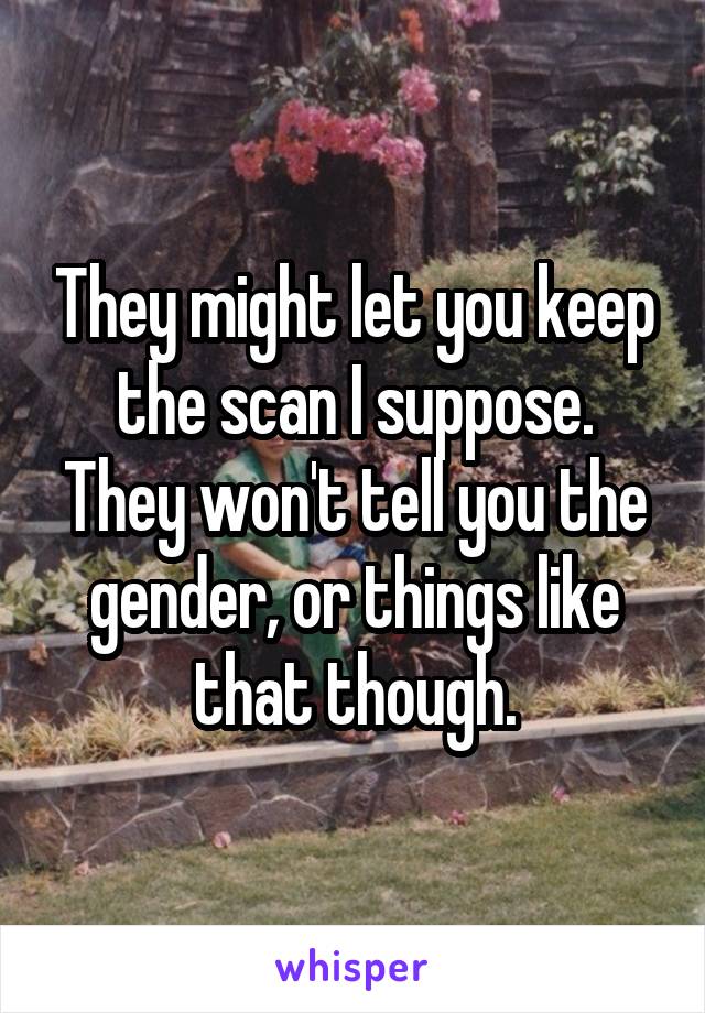 They might let you keep the scan I suppose.
They won't tell you the gender, or things like that though.