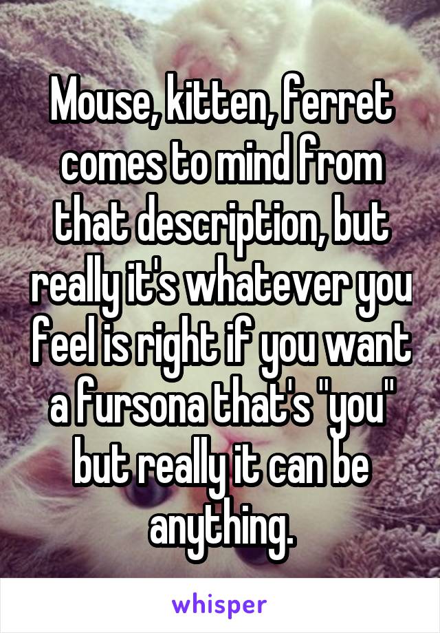 Mouse, kitten, ferret comes to mind from that description, but really it's whatever you feel is right if you want a fursona that's "you" but really it can be anything.