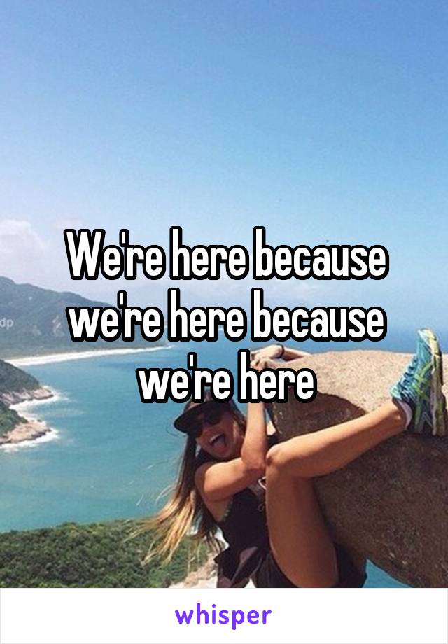 We're here because we're here because we're here