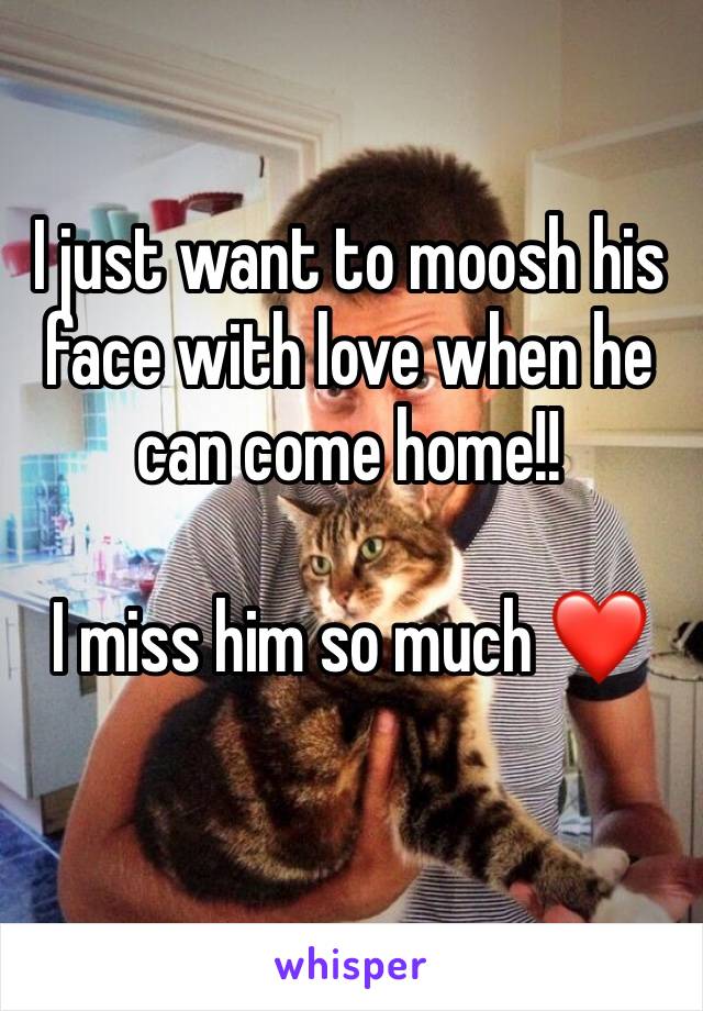 I just want to moosh his face with love when he can come home!!

I miss him so much ❤️