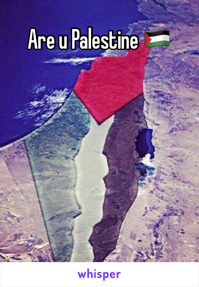 Are u Palestine 🇵🇸 