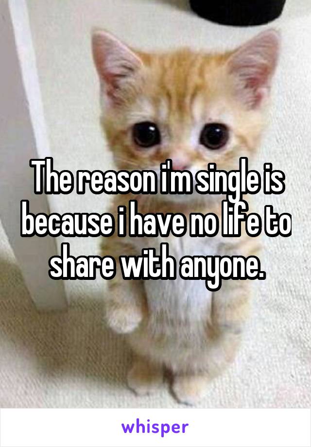 The reason i'm single is because i have no life to share with anyone.