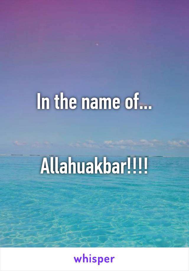 In the name of...


Allahuakbar!!!!