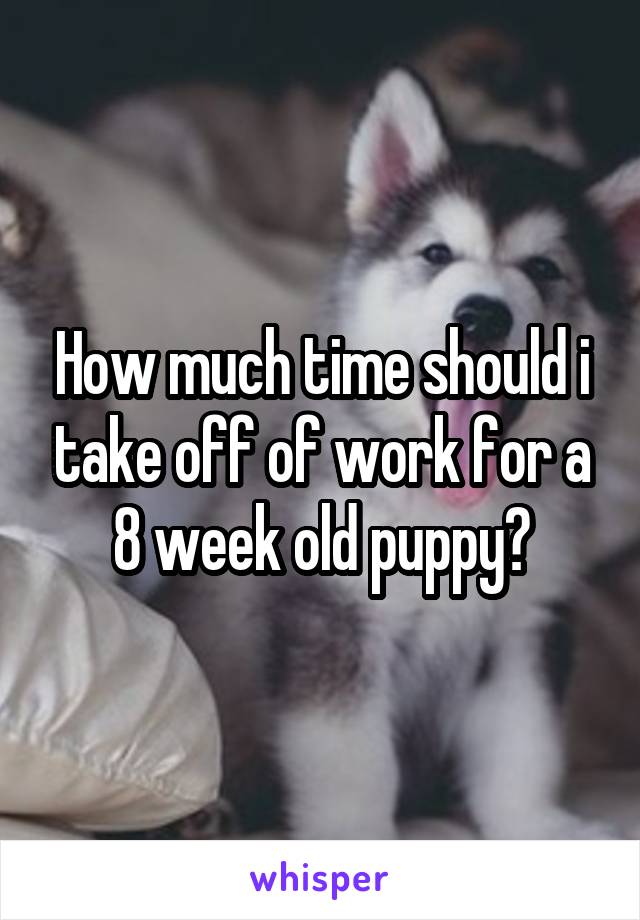 How much time should i take off of work for a 8 week old puppy?