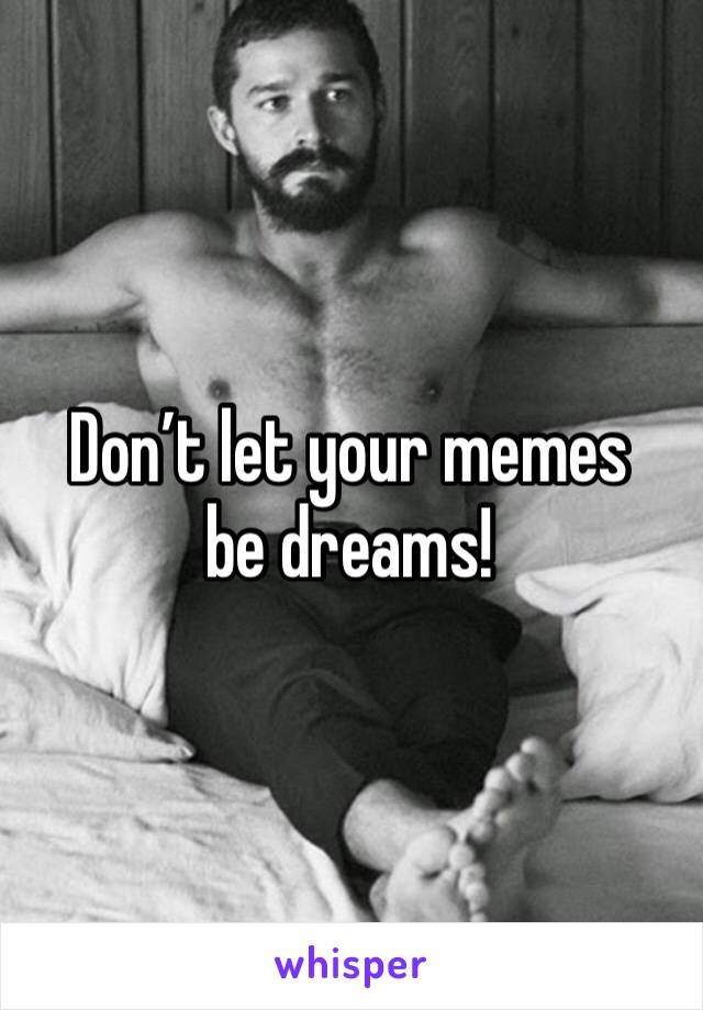 Don’t let your memes be dreams!