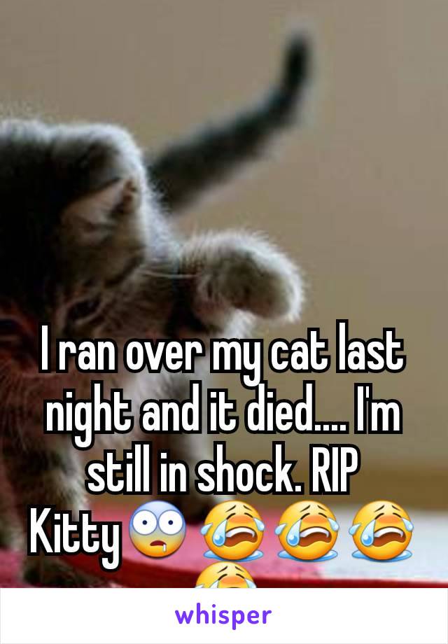 I ran over my cat last night and it died.... I'm still in shock. RIP Kitty🤤😭😭😭😭