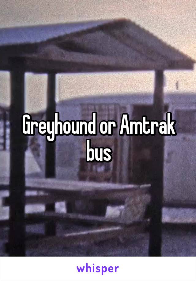 Greyhound or Amtrak bus