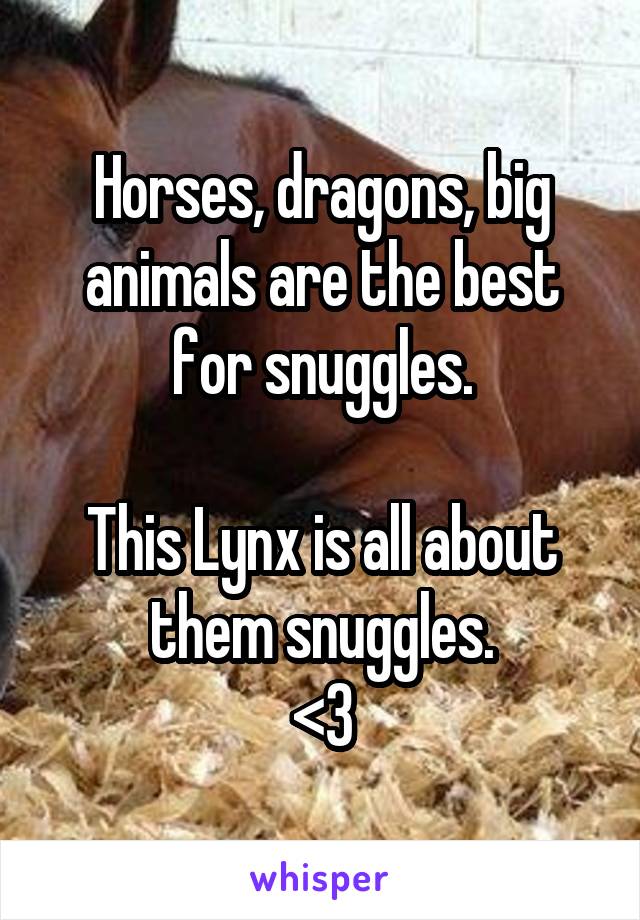 Horses, dragons, big animals are the best for snuggles.

This Lynx is all about them snuggles.
<3