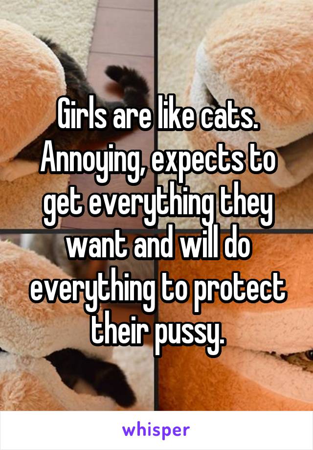 Girls are like cats. Annoying, expects to get everything they want and will do everything to protect their pussy.