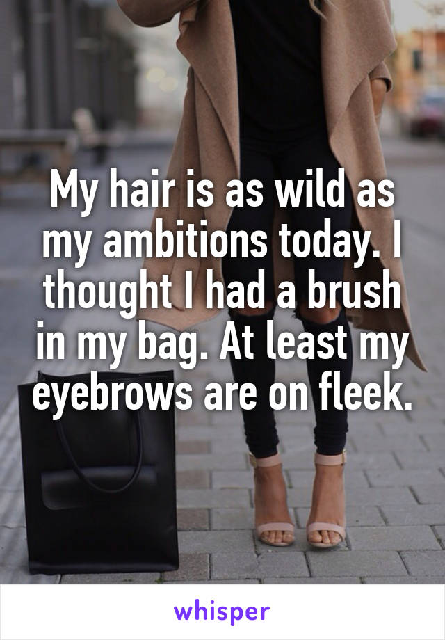 My hair is as wild as my ambitions today. I thought I had a brush in my bag. At least my eyebrows are on fleek. 