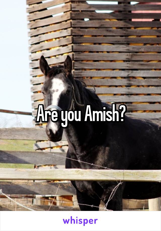 Are you Amish?