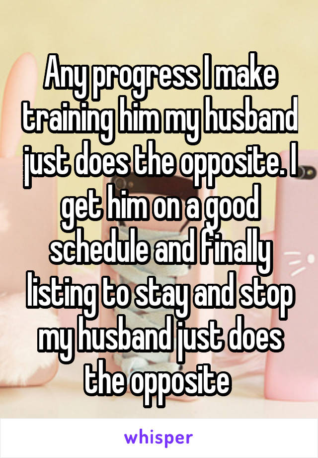 Any progress I make training him my husband just does the opposite. I get him on a good schedule and finally listing to stay and stop my husband just does the opposite 