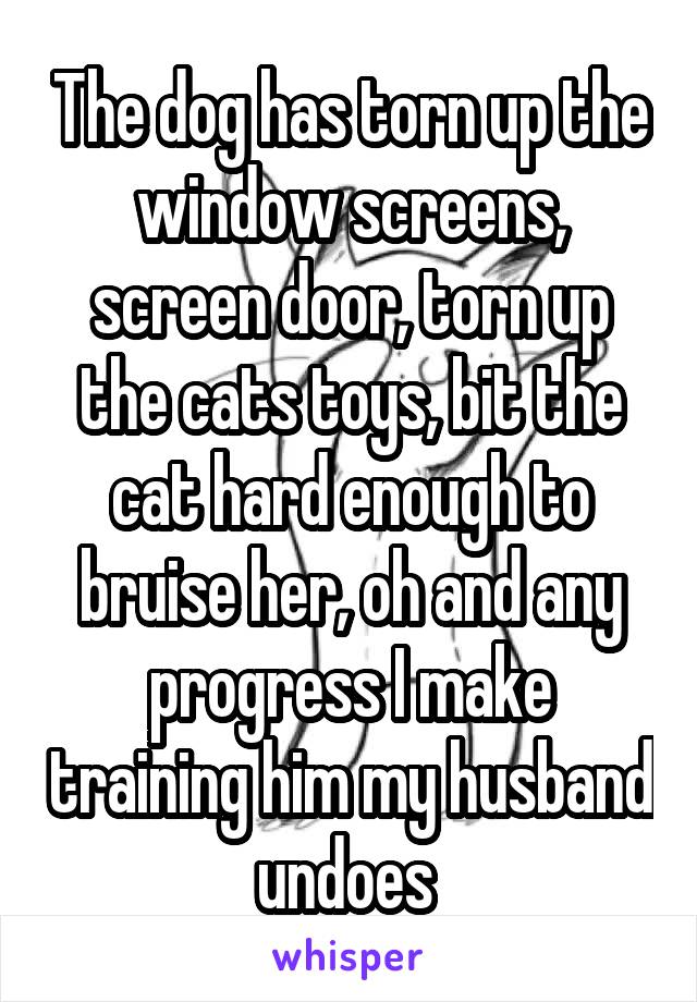 The dog has torn up the window screens, screen door, torn up the cats toys, bit the cat hard enough to bruise her, oh and any progress I make training him my husband undoes 