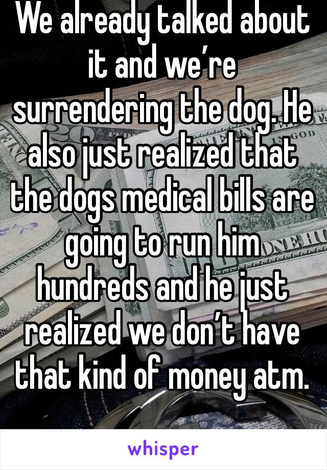 We already talked about it and we’re surrendering the dog. He also just realized that the dogs medical bills are going to run him hundreds and he just realized we don’t have that kind of money atm. 