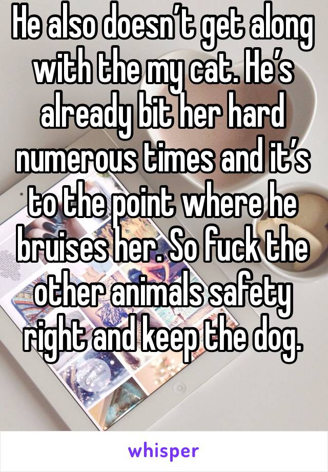He also doesn’t get along with the my cat. He’s already bit her hard numerous times and it’s to the point where he bruises her. So fuck the other animals safety right and keep the dog. 