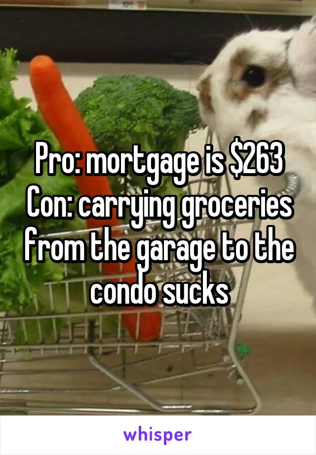 Pro: mortgage is $263 Con: carrying groceries from the garage to the condo sucks