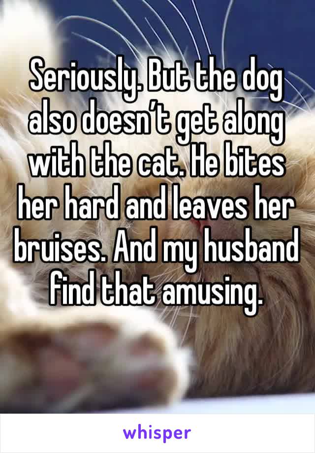 Seriously. But the dog also doesn’t get along with the cat. He bites her hard and leaves her bruises. And my husband find that amusing. 