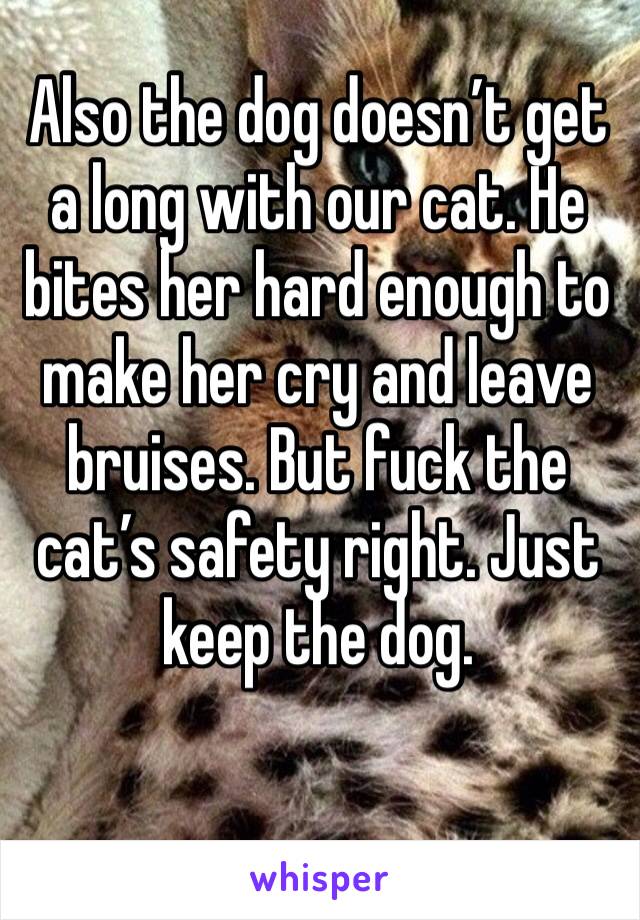 Also the dog doesn’t get a long with our cat. He bites her hard enough to make her cry and leave bruises. But fuck the cat’s safety right. Just keep the dog.