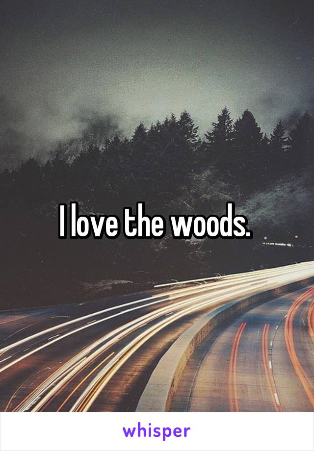 I love the woods. 