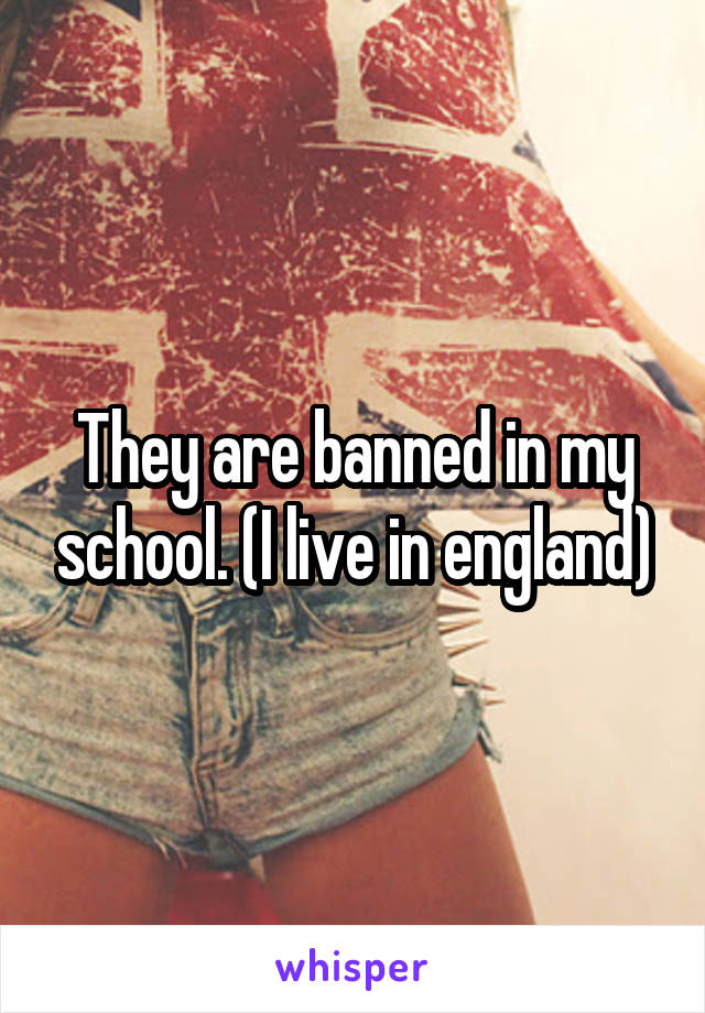 They are banned in my school. (I live in england)