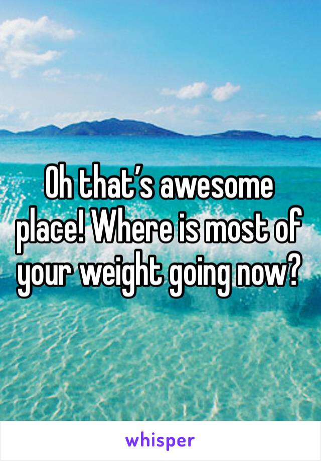 Oh that’s awesome place! Where is most of your weight going now?