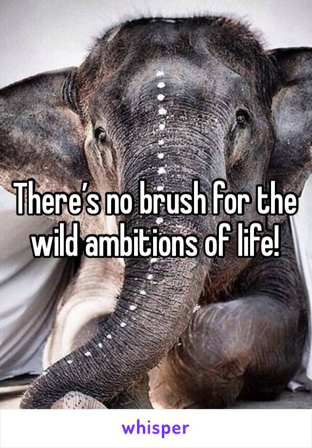 There’s no brush for the wild ambitions of life!