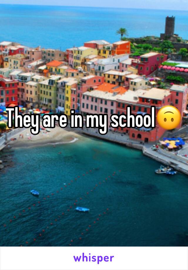 They are in my school🙃