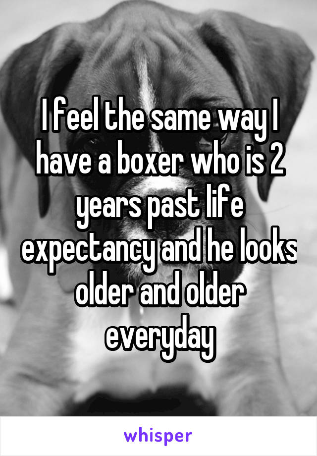 I feel the same way I have a boxer who is 2 years past life expectancy and he looks older and older everyday