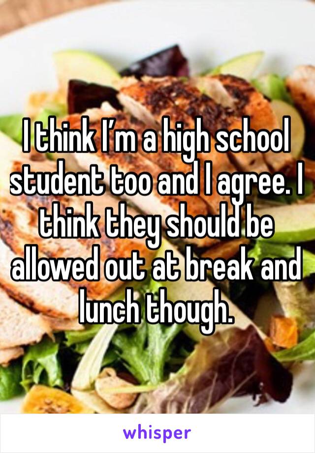 I think I’m a high school student too and I agree. I think they should be allowed out at break and lunch though.