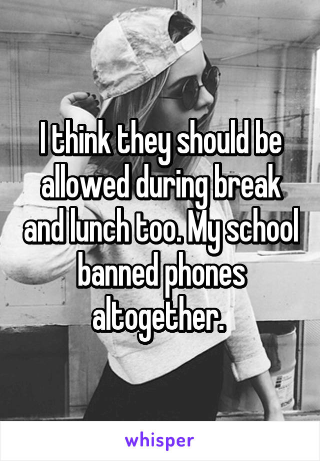 I think they should be allowed during break and lunch too. My school banned phones altogether. 