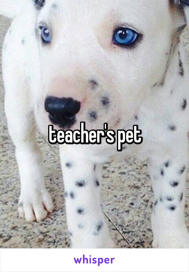 teacher's pet