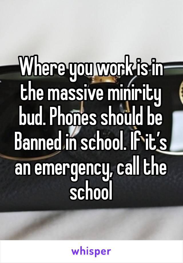 Where you work is in the massive minirity bud. Phones should be Banned in school. If it’s an emergency, call the school