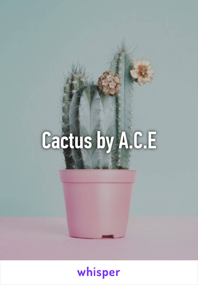 Cactus by A.C.E
