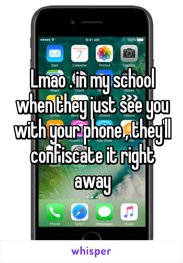 Lmao . in my school when they just see you with your phone , they'll confiscate it right away