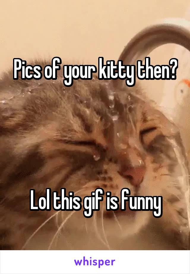 Pics of your kitty then?




Lol this gif is funny