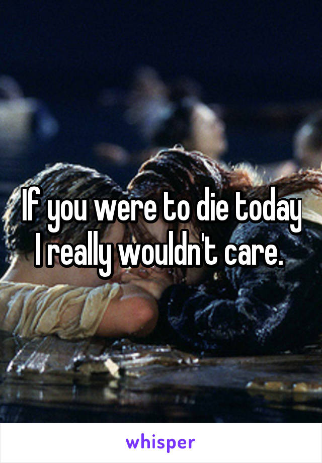 If you were to die today I really wouldn't care. 