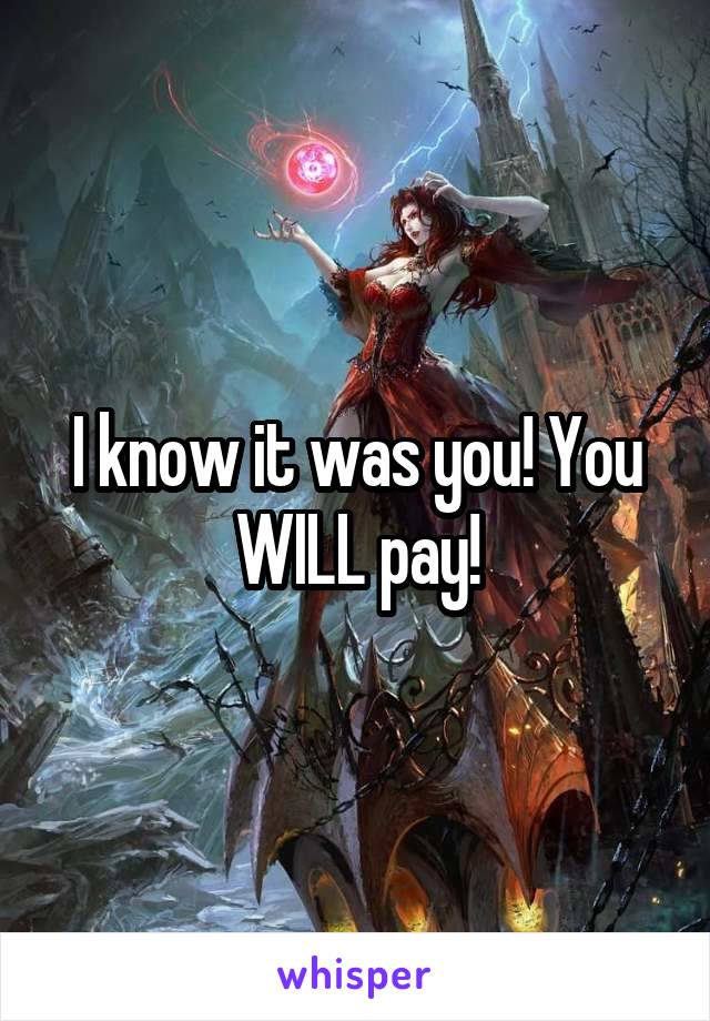 I know it was you! You WILL pay!