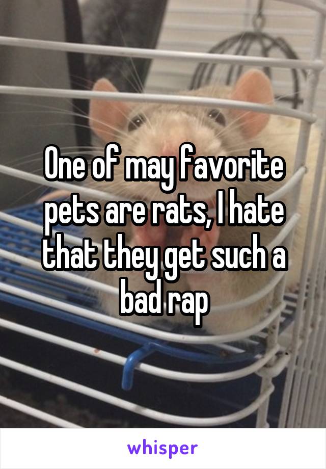 One of may favorite pets are rats, I hate that they get such a bad rap