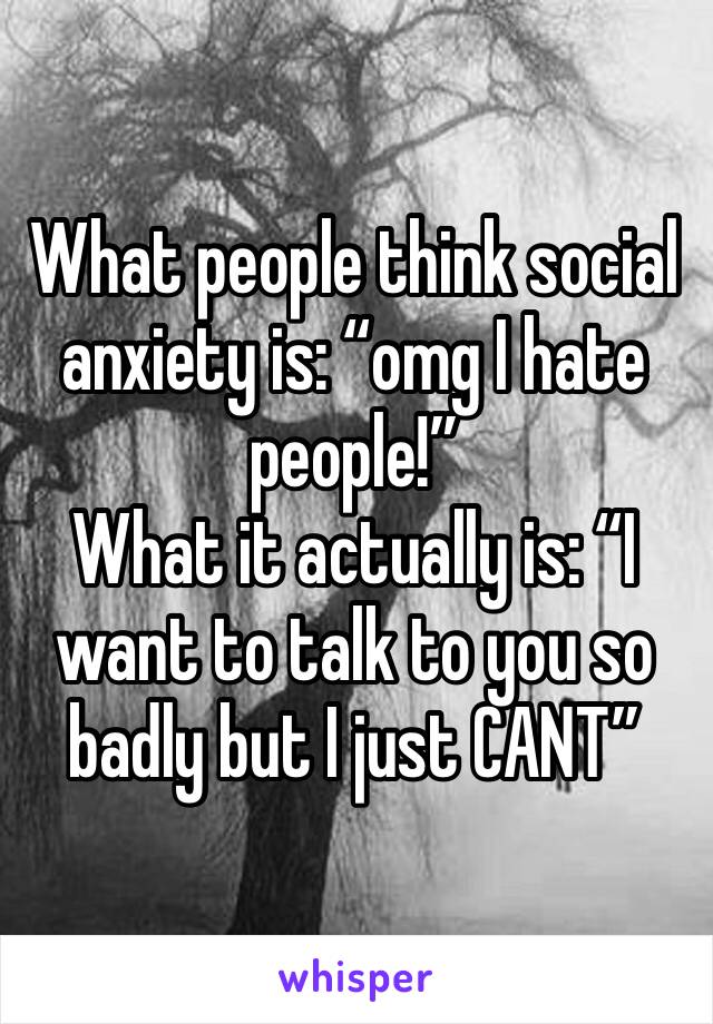 What people think social anxiety is: “omg I hate people!”
What it actually is: “I want to talk to you so badly but I just CANT”