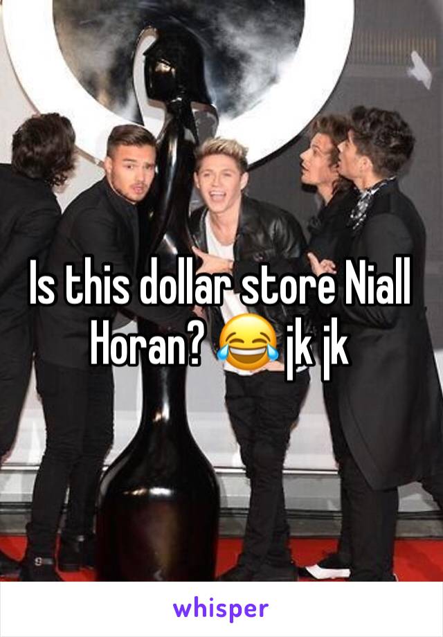 Is this dollar store Niall Horan? 😂 jk jk