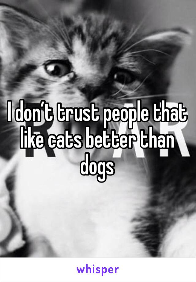 I don’t trust people that like cats better than dogs 