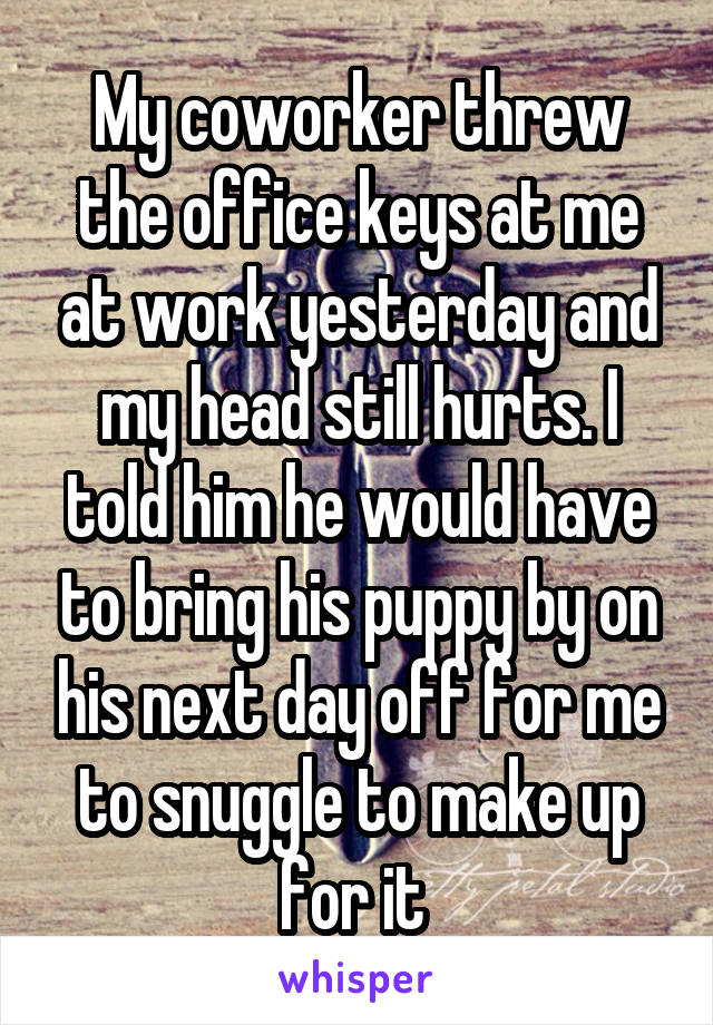 My coworker threw the office keys at me at work yesterday and my head still hurts. I told him he would have to bring his puppy by on his next day off for me to snuggle to make up for it 