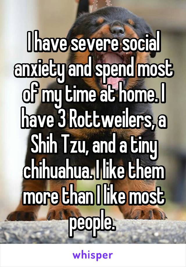 I have severe social anxiety and spend most of my time at home. I have 3 Rottweilers, a Shih Tzu, and a tiny chihuahua. I like them more than I like most people. 