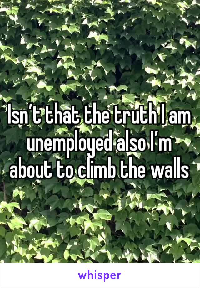 Isn’t that the truth I am unemployed also I’m about to climb the walls