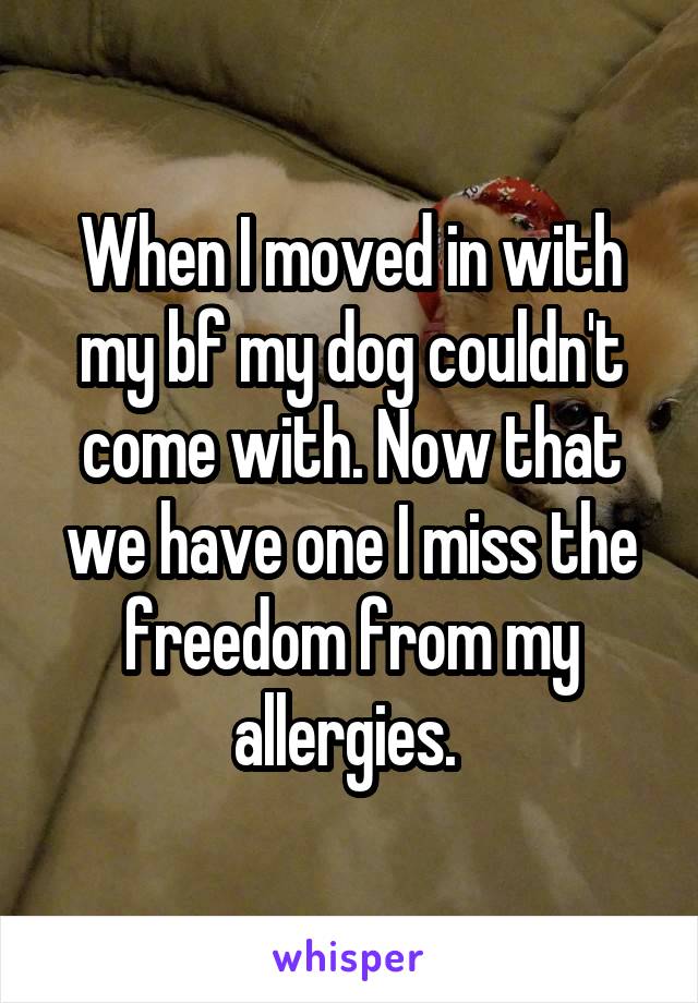 When I moved in with my bf my dog couldn't come with. Now that we have one I miss the freedom from my allergies. 