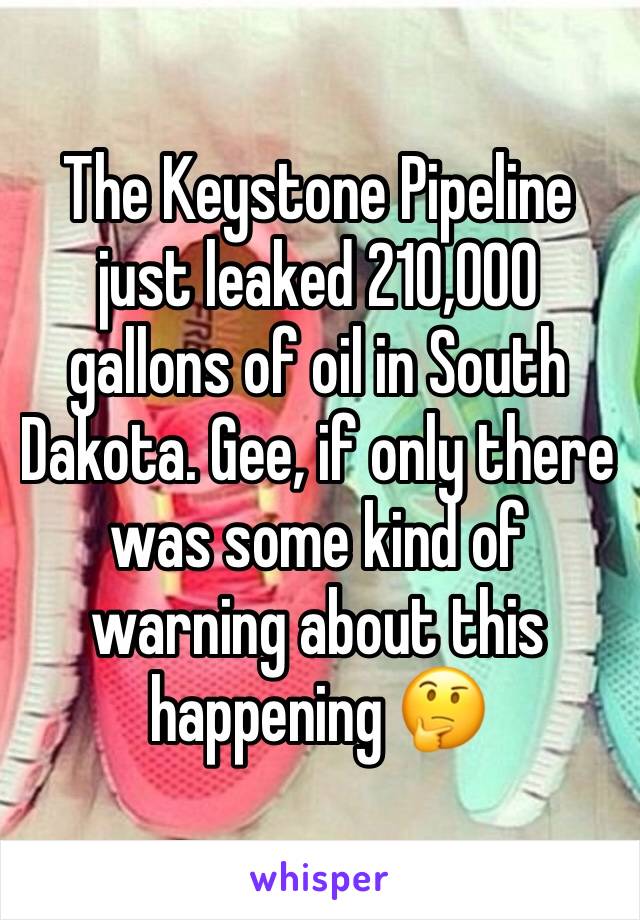 The Keystone Pipeline just leaked 210,000 gallons of oil in South Dakota. Gee, if only there was some kind of warning about this happening 🤔